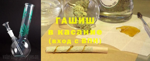 сатива Балахна