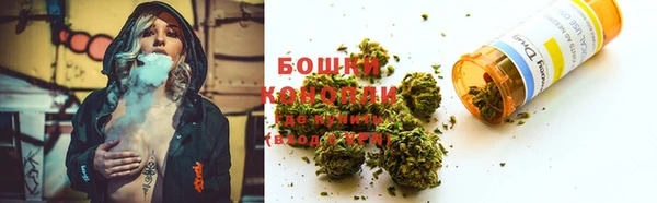 сатива Балахна