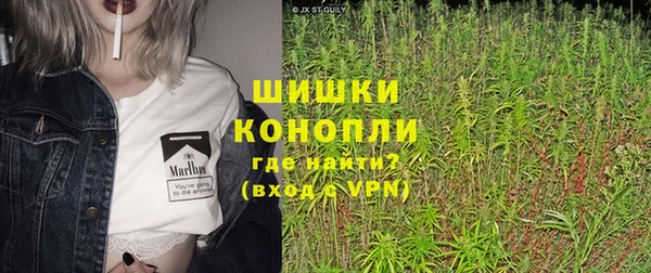 сатива Балахна