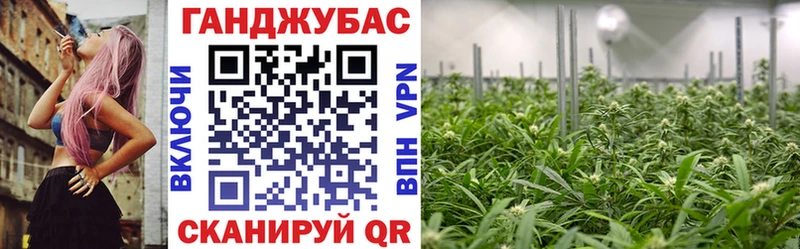Канабис план  Серафимович 